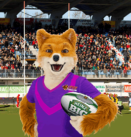 foxy-bingo-rugby